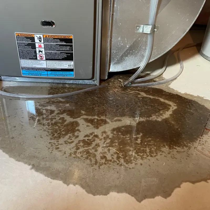 Appliance Leak Cleanup in Mertzon, TX